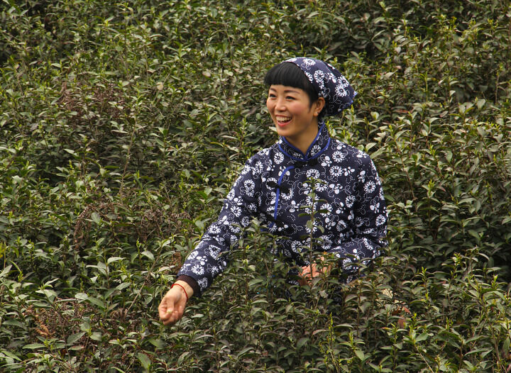 伊在人线永久免费观看区 动漫